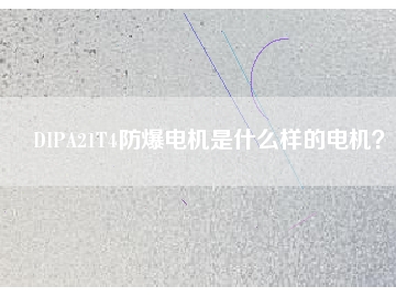 DIPA21T4防爆電機是什么樣的電機？