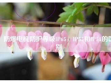 防爆電機(jī)防護(hù)等級IP65，IP55和IP54的區(qū)別