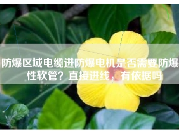 防爆區(qū)域電纜進(jìn)防爆電機(jī)是否需要防爆撓性軟管？直接進(jìn)線，有依據(jù)嗎