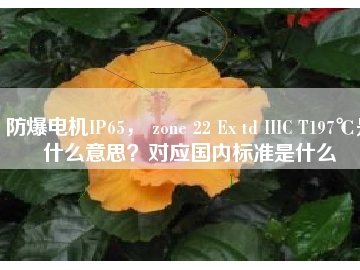 防爆電機IP65， zone 22 Ex td IIIC T197℃是什么意思？對應國內標準是什么