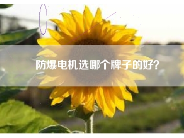 防爆電機(jī)選哪個(gè)牌子的好？