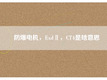 防爆電機(jī)，ExdⅡ，CT4是啥意思