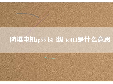 防爆電機(jī)ip55 b3 f級 ic411是什么意思