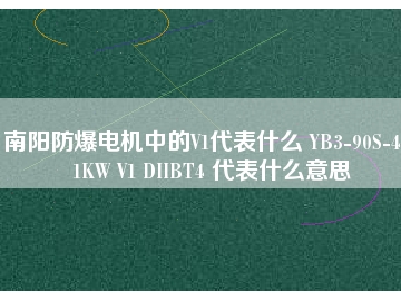 南陽防爆電機(jī)中的V1代表什么 YB3-90S-4 1.1KW V1 DIIBT4 代表什么意思
