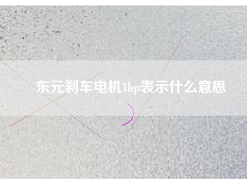 東元?jiǎng)x車電機(jī)1hp表示什么意思