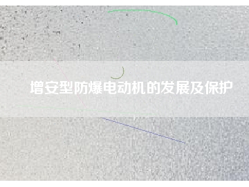 增安型防爆電動機的發(fā)展及保護