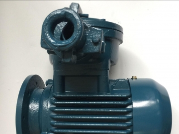 防爆電機(jī)的效率怎么樣？能耗主要在哪里損耗了？