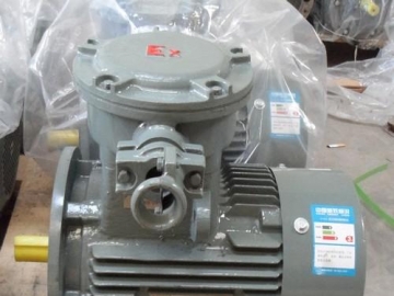 粉塵防爆電機(jī)要怎么選？注意哪些方面？