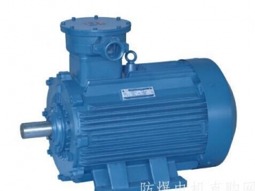 防爆電機(jī)的密封結(jié)構(gòu)在安裝使用中要注意哪些？