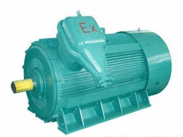 防爆電機(jī)如何出現(xiàn)掃膛、振動(dòng)、軸承過熱要怎么處理