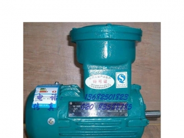 防爆電機(jī)價(jià)格主要由哪些因素決定