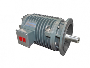 YG系列輥道用調(diào)速三相異步電動(dòng)機(jī)