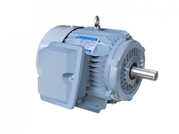 NE系列高效高轉(zhuǎn)矩三相異步電動機(jī)