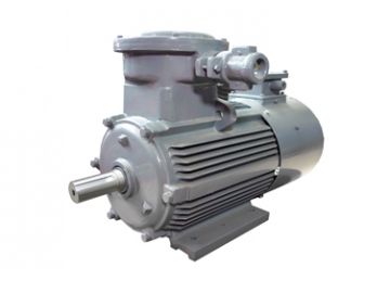 YBBP系列隔爆型變頻調(diào)速三相異步電動機(jī)