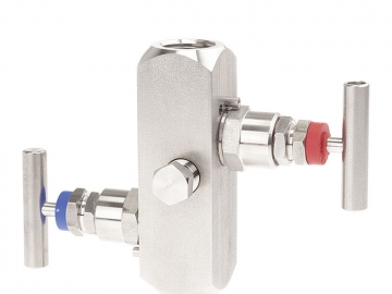 IV20, IV21阻斷和排放儀表閥