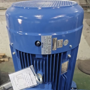 炎炎夏日，您的電機(jī)系統(tǒng)是否正在經(jīng)受“烤”驗(yàn)？