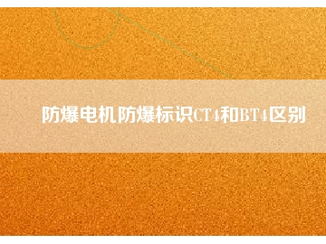 防爆電機防爆標識CT4和BT4區(qū)別