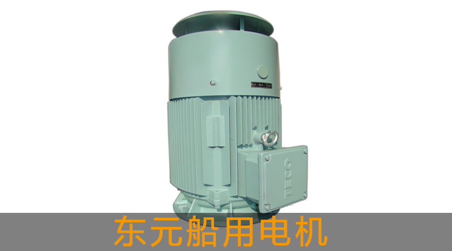 東元AEEVBT/AEUVBT船用電機