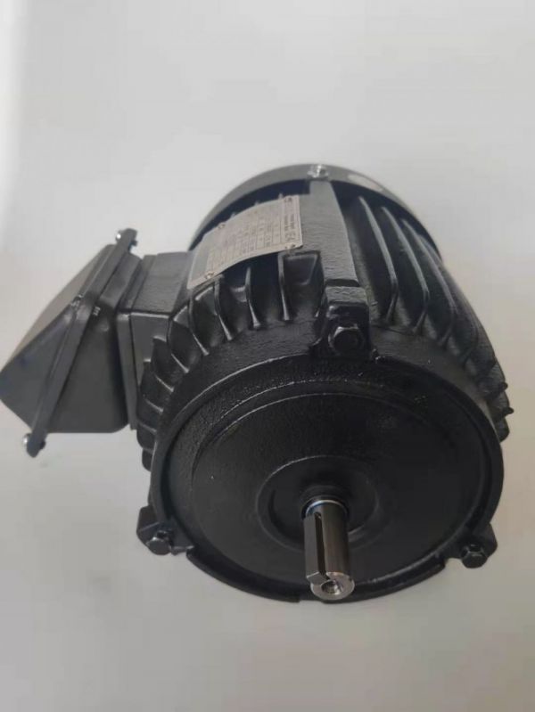 永磁電機 DVEX  55KW  1000RPM  F#250M IE4效率電機