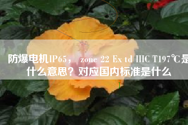 防爆電機(jī)IP65, zone 22 Ex td IIIC T197℃是什么意思?對(duì)應(yīng)國(guó)內(nèi)標(biāo)準(zhǔn)是什么