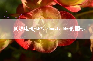 防爆電機ybk2-280m-4-90kw的國標