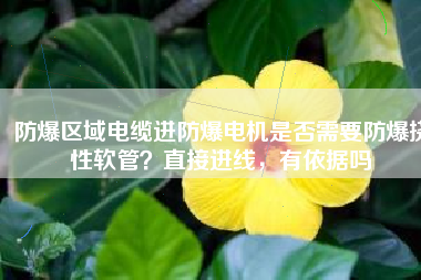 防爆區(qū)域電纜進防爆電機是否需要防爆撓性軟管？直接進線，有依據(jù)嗎