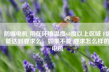 防爆電機 用在環(huán)境溫度60度以上區(qū)域 F級能達到要求么，如果不能 要求怎么樣的電機