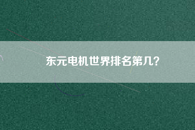 東元電機(jī)世界排名第幾？