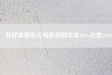怎樣查看東元電機(jī)的剎車是220v還是380v