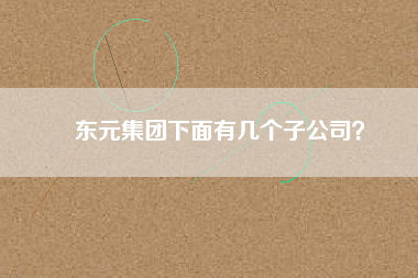 東元集團(tuán)下面有幾個(gè)子公司? 東元集團(tuán)下面有幾個(gè)子公司?