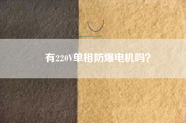 有220V單相防爆電機(jī)嗎？
