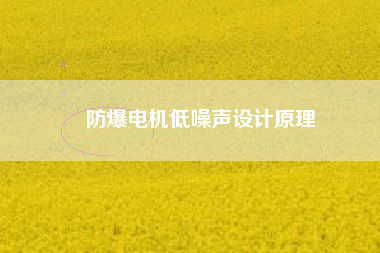 防爆電機低噪聲設計原理